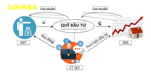 Danh sách các quỹ đầu tư tại Việt Nam mà bạn cần biết