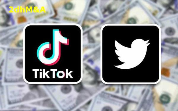 Đến lượt Twitter tham gia vào thương vụ TikTok