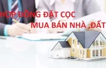 Kiến Thức Bất Động Sản | Hướng dẫn chi tiết ghi Hợp đồng đặt cọc mua bán nhà, đất