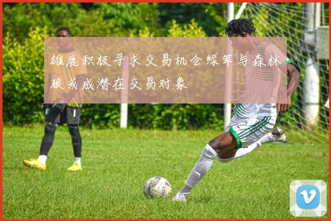雄鹿积极寻求交易机会绿军与森林狼或成潜在交易对象