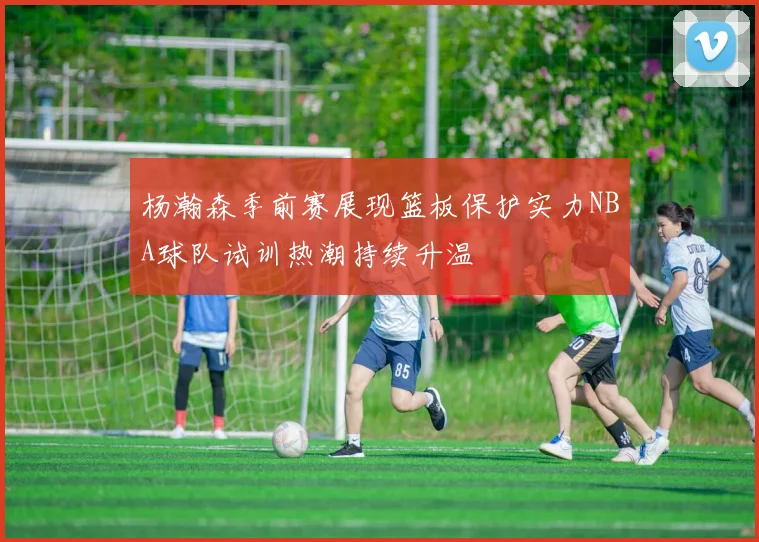 杨瀚森季前赛展现篮板保护实力NBA球队试训热潮持续升温